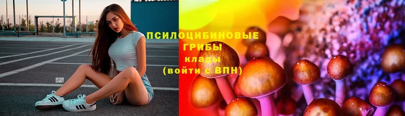 Галлюциногенные грибы мицелий  Иркутск 